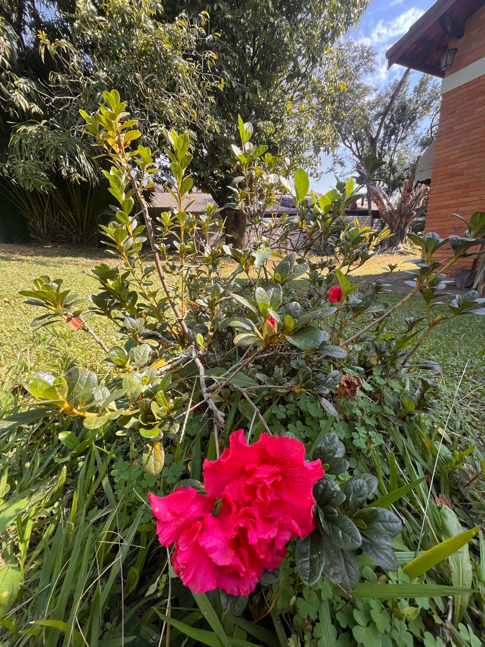 Foto 15 da chácara Paraíso das Flores